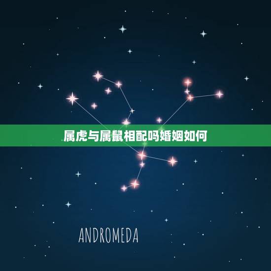 属虎与属鼠相配吗婚姻如何,属鼠男和属虎女婚配如何? 属虎与属鼠相配吗婚姻如何,属鼠男和属虎女婚配如何?