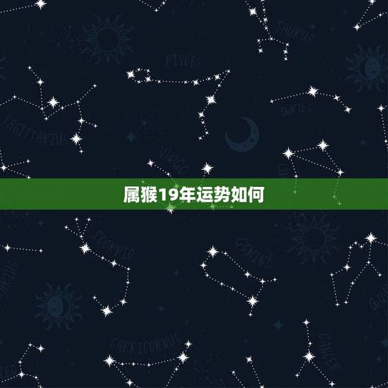 属猴19年运势如何，属猴19年运势