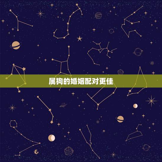 属狗的婚姻配对更佳,属狗男最后娶了谁 属狗的婚姻配对更佳,属狗男最后娶了谁