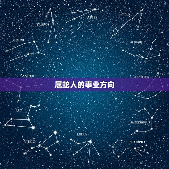 属蛇人的事业方向,属蛇和属兔的合作事业 属蛇人的事业方向,属蛇和属兔的合作事业