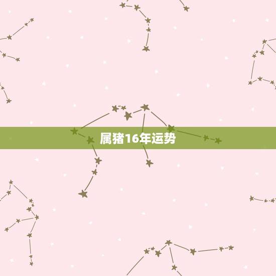 属猪16年运势，2016年属猪的人运势