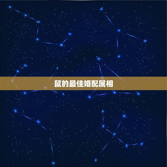鼠的最佳婚配属相，属鼠的属相婚配表 属鼠的和什么属相最配？