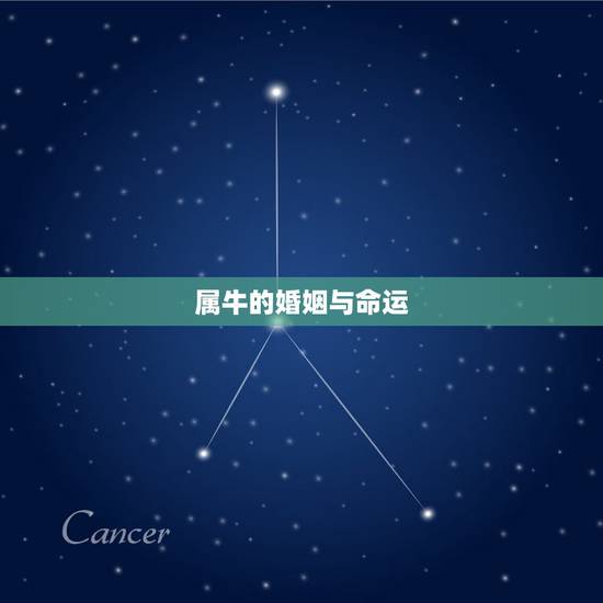 属牛的婚姻与命运,96属鼠人的婚姻与命运 属牛的婚姻与命运,96属鼠人的婚姻与命运