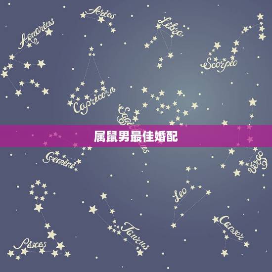 属鼠男最佳婚配,属鼠最佳婚配属相 属鼠男最佳婚配,属鼠最佳婚配属相
