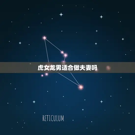 虎女龙男适合做夫妻吗 虎女龙男适合做夫妻吗