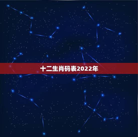 十二生肖码表2022年，2022 年十二生肖号码表图