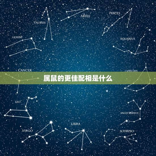 属鼠的更佳配相是什么,属鼠的和什么属相最配相克 属鼠的更佳配相是什么,属鼠的和什么属相最配相克