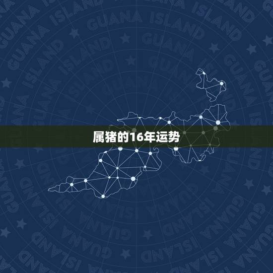 属猪的16年运势，五行里面属猪的运势