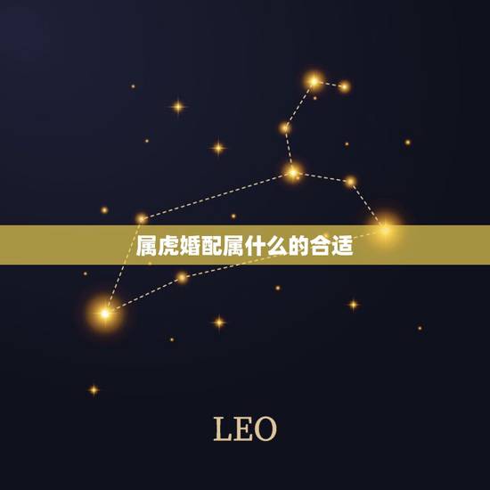 属虎婚配属什么的合适，属虎的2022 年运势如何