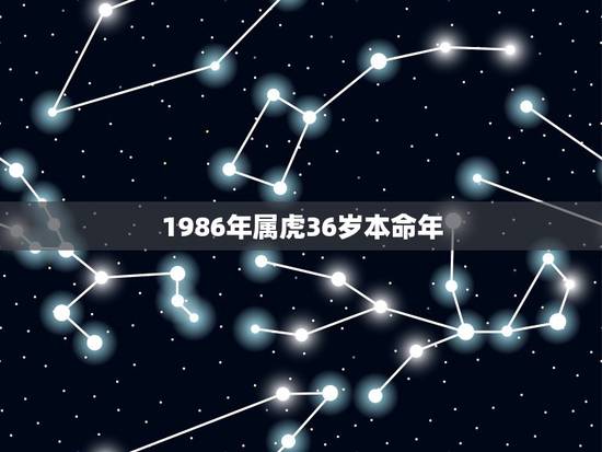 1986年属虎36岁本命年 36岁属虎人在2023年里的运势 1986年属虎36岁本命年 36岁属虎人在2023年里的运势
