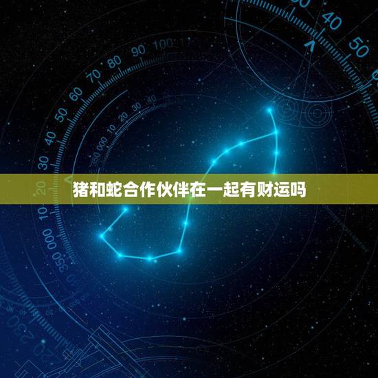 猪和蛇合作伙伴在一起有财运吗,十二生肖猪,兔,和属蛇能合作做生意吗? 猪和蛇合作伙伴在一起有财运吗,十二生肖猪,兔,和属蛇能合作做生意吗?