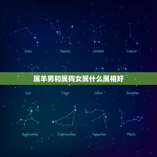 属羊男和属狗女属什么属相好，男羊女狗属相合不合