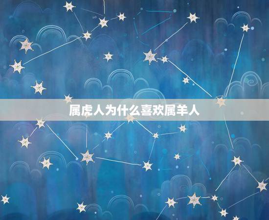 属虎人为什么喜欢属羊人，属虎和属羊的人在一起合适吗？