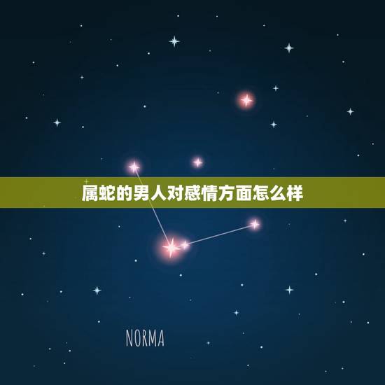 属蛇的男人对感情方面怎么样，属蛇的男人太可怕了