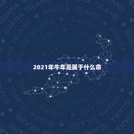 2021年牛年是属于什么命,2021年属牛是什么命 2021年牛年是属于什么命,2021年属牛是什么命