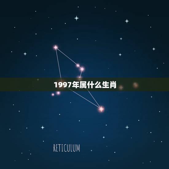 1997年属什么生肖，97年属于什么生肖
