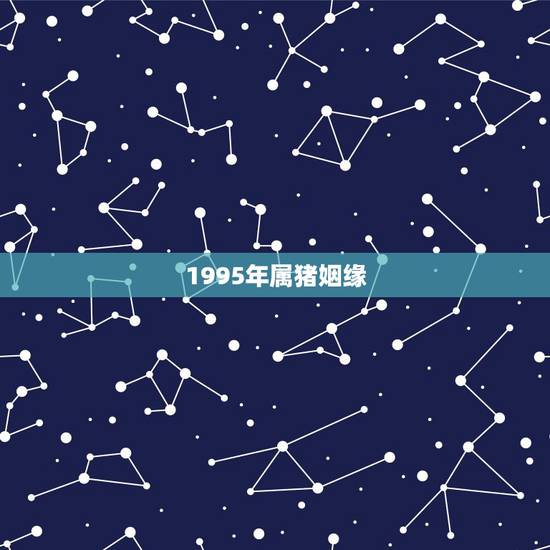 1995年属猪姻缘，1995年女属猪人与1996年男农历运气和婚姻怎样