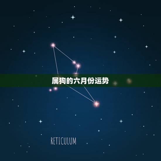 属狗的六月份运势，属狗2021年运势及运程每月运程
