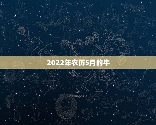 2022年农历5月的牛,85年属牛人最穷不过36岁 2022年农历5月的牛,85年属牛人最穷不过36岁