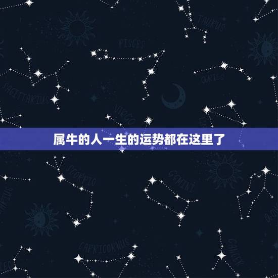 属牛的人一生的运势都在这里了，属相牛一生的财运