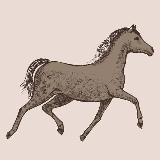 1990年属马男孩婚姻(如何避免婚姻危机) 1990年属马男孩婚姻(如何避免婚姻危机)