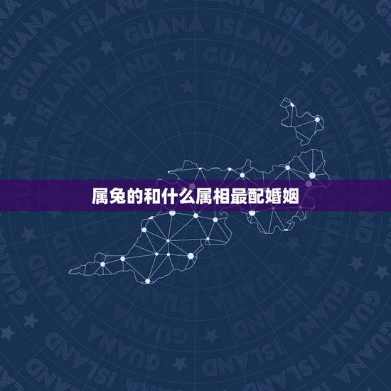 属兔的和什么属相最配婚姻,属马的和什么属相最配 属兔的和什么属相最配婚姻,属马的和什么属相最配