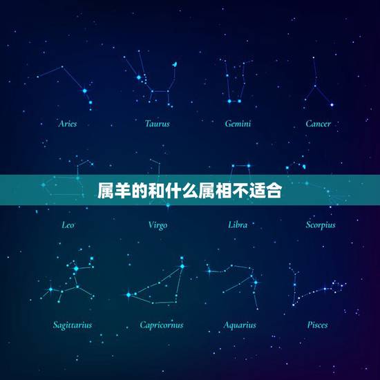 属羊的和什么属相不适合，属羊的跟什么属相人合作最好