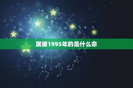 属猪1995年的是什么命，1995年属猪的人是什么命