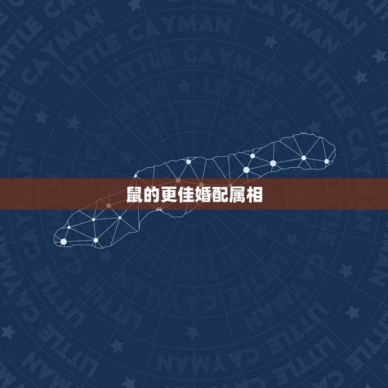 鼠的更佳婚配属相,生肖鼠更佳婚配对象 鼠的更佳婚配属相,生肖鼠更佳婚配对象