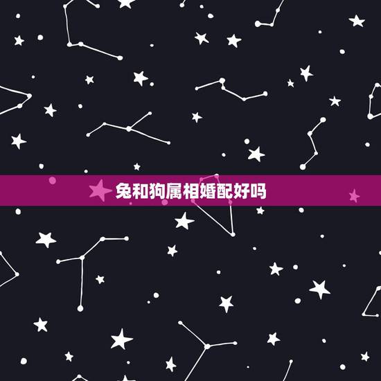 兔和狗属相婚配好吗，属狗的和属兔的相配吗？