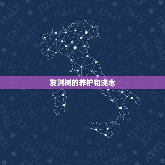 发财树的养护和浇水,发财树的养殖方法多久浇水 发财树的养护和浇水,发财树的养殖方法多久浇水
