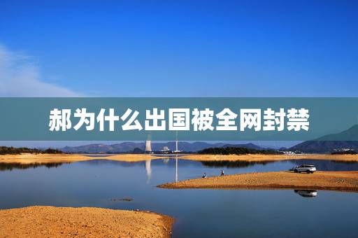 郝为什么出国被全网封禁,郝蕾为什么被封杀 郝为什么出国被全网封禁,郝蕾为什么被封杀
