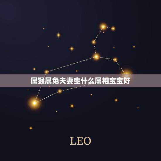 属猴属兔夫妻生什么属相宝宝好，属牛的和属兔得生个什么属相的好