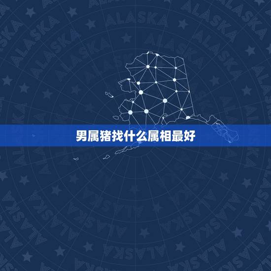 男属猪找什么属相最好