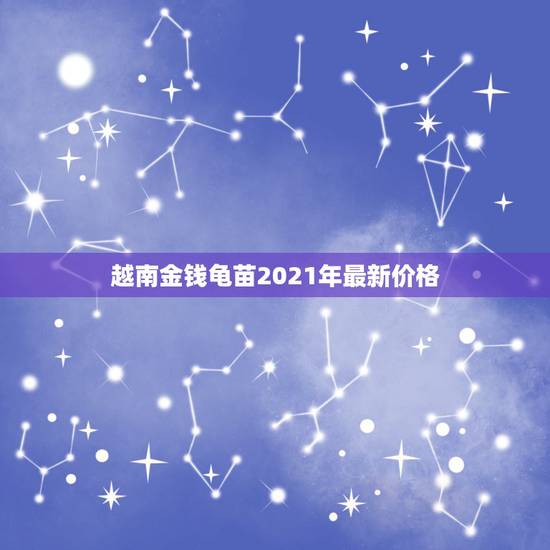 越南金钱龟苗2021年最新价格,越南金钱龟值多少钱 网友帮忙看看? 越南金钱龟苗2021年最新价格,越南金钱龟值多少钱 网友帮忙看看?