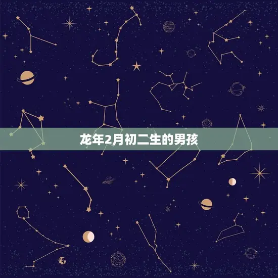 龙年2月初二生的男孩 龙年2月初二生的男孩