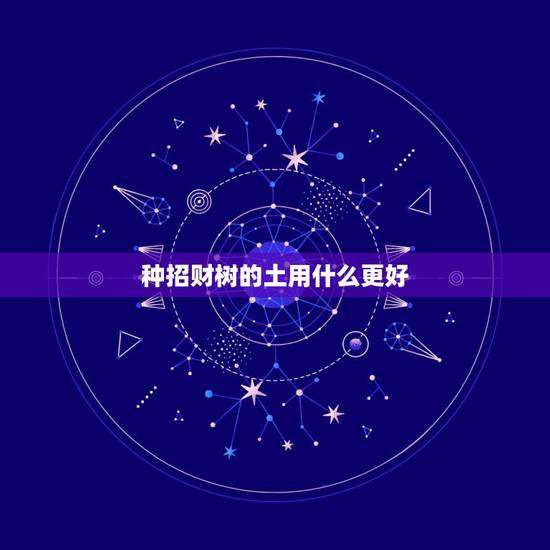 种招财树的土用什么更好，树！ 发财树用什么泥土种好