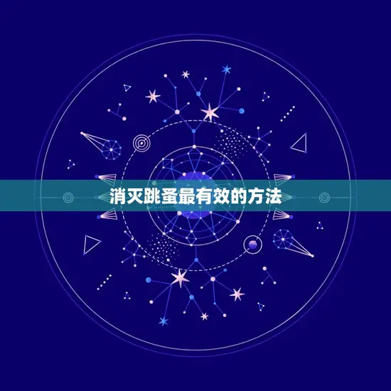 消灭跳蚤最有效的方法 消灭跳蚤最有效的方法