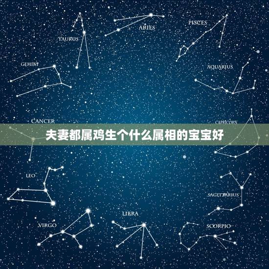 夫妻都属鸡生个什么属相的宝宝好，属鸡和属猪的夫妻，生什么属相的宝宝好？