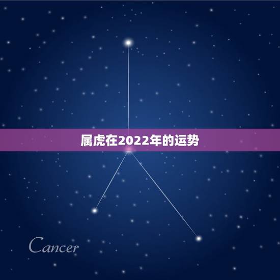 属虎在2022年的运势,2022年生肖运势 属虎在2022年的运势,2022年生肖运势