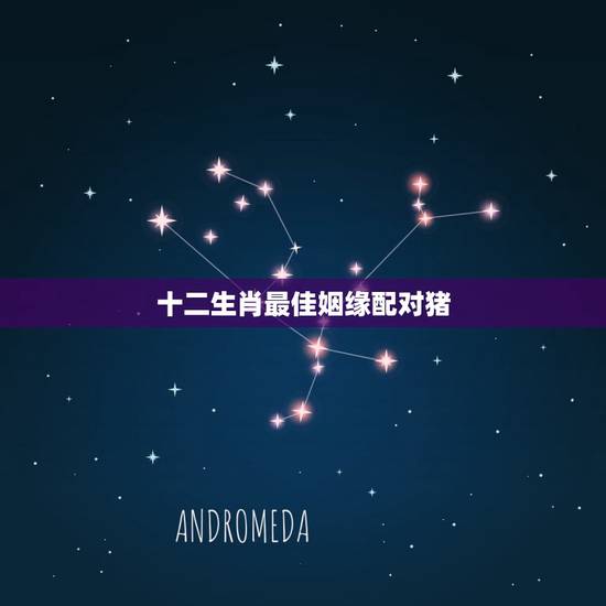 十二生肖最佳姻缘配对猪，十二生肖配对姻缘合婚