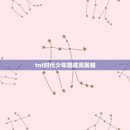 tnt时代少年团成员属相,tnt少年团全员生日分别是什么时候? tnt时代少年团成员属相,tnt少年团全员生日分别是什么时候?
