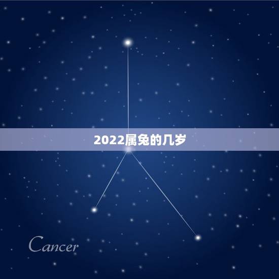 2022属兔的几岁,属兔2022年多大虚岁 2022属兔的几岁,属兔2022年多大虚岁