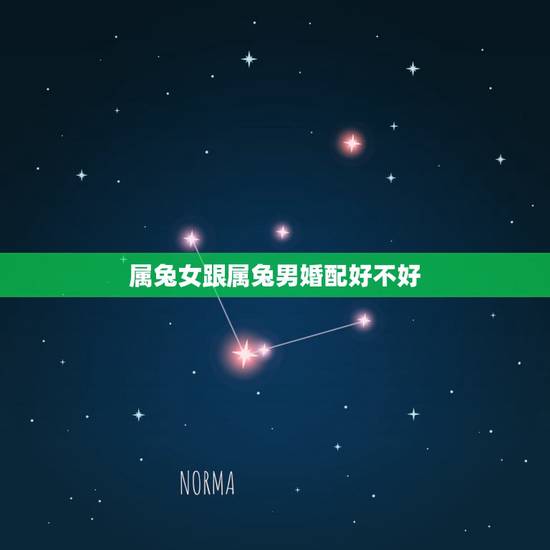 属兔女跟属兔男婚配好不好,属相婚配:男属兔和女属羊相配吗 属兔女跟属兔男婚配好不好,属相婚配:男属兔和女属羊相配吗