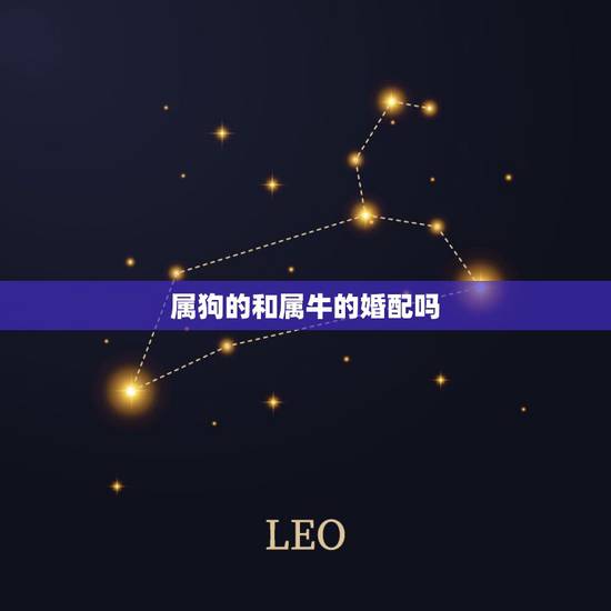 属狗的和属牛的婚配吗,属狗的和属牛相配吗? 属狗的和属牛的婚配吗,属狗的和属牛相配吗?