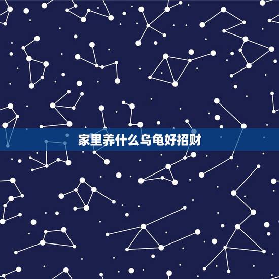 家里养什么乌龟好招财，镇宅养什么乌龟啊？