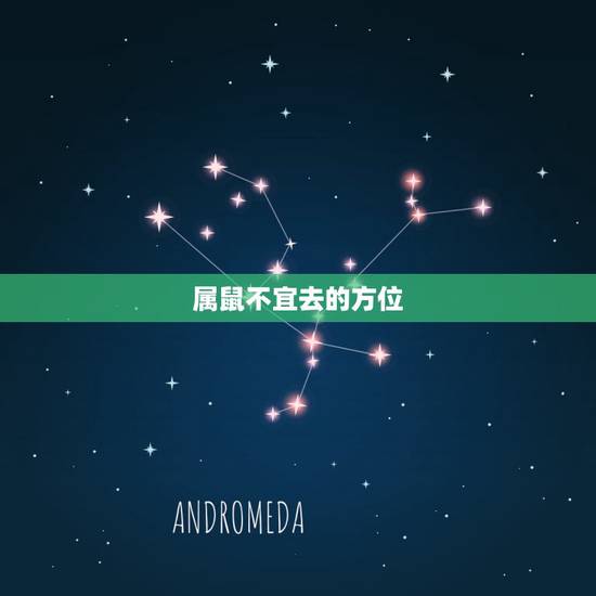 属鼠不宜去的方位，鼠本命年的大忌2022