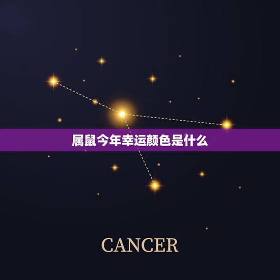 属鼠今年幸运颜色是什么，属龙的幸运色是什么颜色