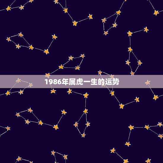 1986年属虎一生的运势，1986年属虎晚8:40出生的人一生运势