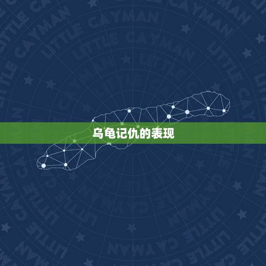 乌龟记仇的表现，乌龟什么行为代表对主人喜欢？